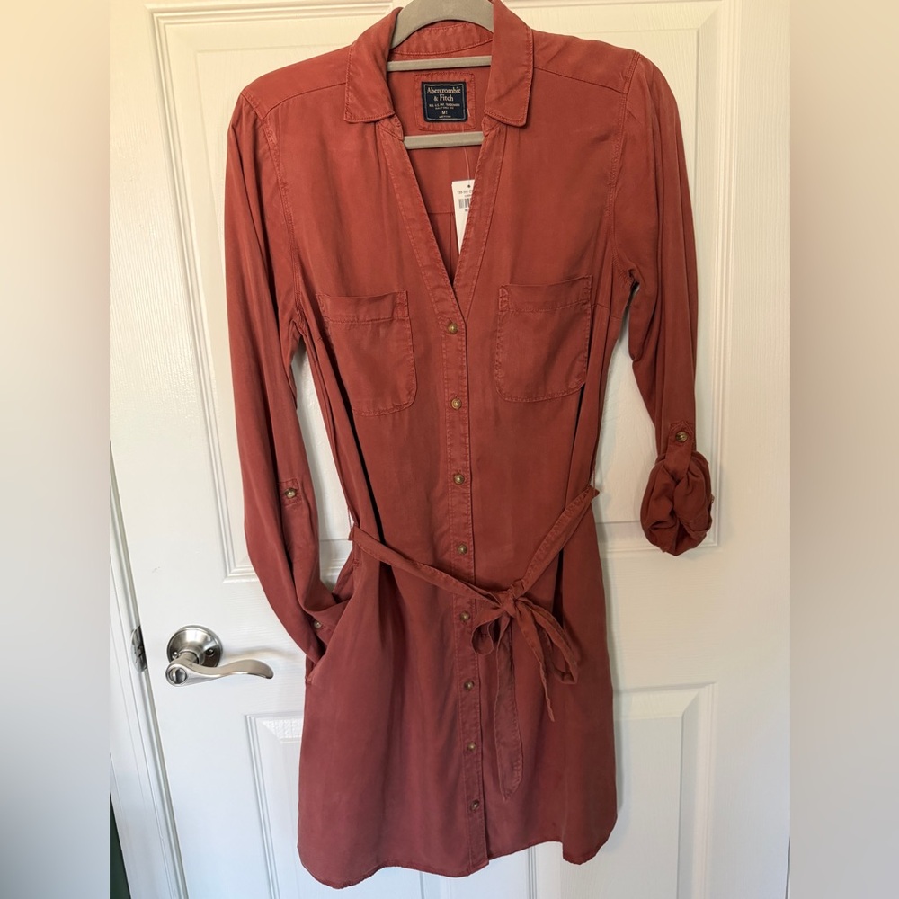 Abercrombie & Fitch Terracotta Long Sleeve Dress
